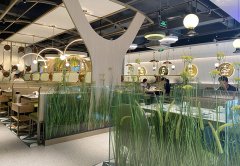 餐廳生意不好應該怎么辦，餐飲老兵的8條建議：其中有幾條餐飲人都踩過！